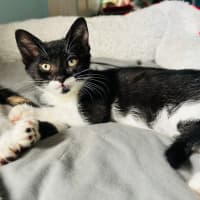 Photo of Minnie