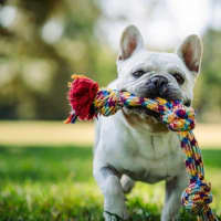 Photo of Bee O’cleary