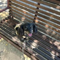 Photo of Tommy Allbright