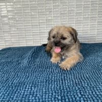 Photo of Olly