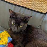 Photo of Vera