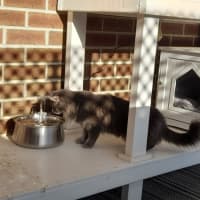 Photo of Luna & Sage