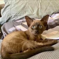 Photo of Twinkle   K28