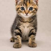 Photo of Dottie