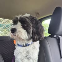Photo of Wally