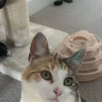 Photo of Nami