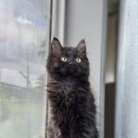 Photo of Alina
