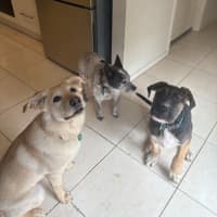 Photo of Russel Dara