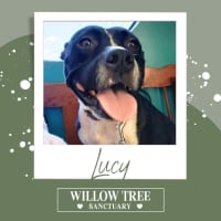 Photo of Lucy