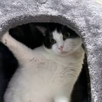 Photo of Dennis Sta013574