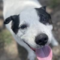 Photo of Leila