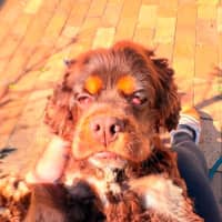Photo of Remi