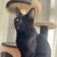 Photo of Patches