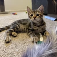 Photo of Tim Tam