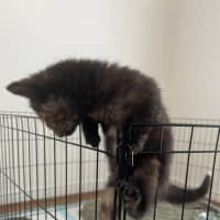 Photo of Evie