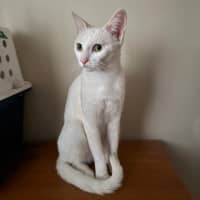 Photo of Ingrid