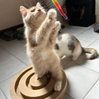 Photo of Trevor 💙