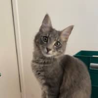 Photo of Buddy