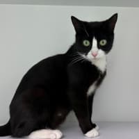 Photo of Peppermint Patty