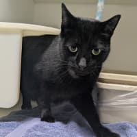 Photo of 🍤 Luca 6216 🍤