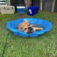 Photo of Sundae