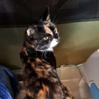 Photo of Agnes