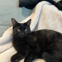 Photo of Ralph