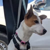 Photo of Nellie
