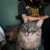 Photo of Pierre