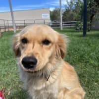 Photo of Maggie