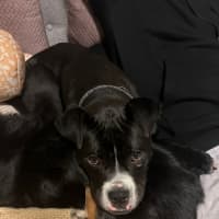 Photo of Harken