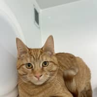 Photo of Bo 