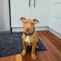 Photo of Clyde