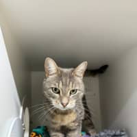 Photo of 💘 Ziggy 6642 💘