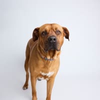 Photo of Zuri