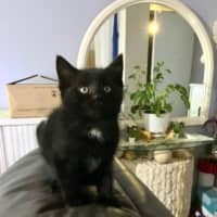 Photo of Midnight