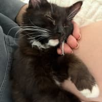 Photo of Buttons