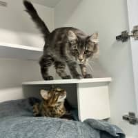 Photo of Sandy