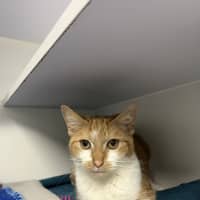 Photo of Ember
