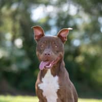 Photo of Jasper