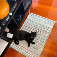 Photo of Moni