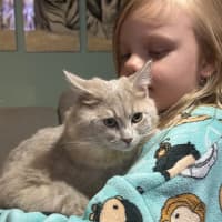 Photo of Benny & Goldie