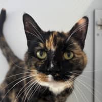 Photo of Mabel