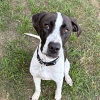 Photo of Buddy