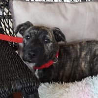 Photo of Winnie