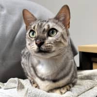 Photo of Jagerbomb Rsua013856