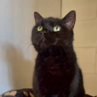 Photo of Molly