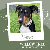 Photo of Danni