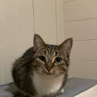 Photo of * Merriweather *