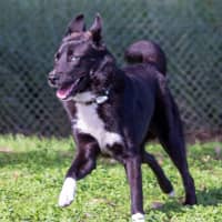 Photo of Hunter